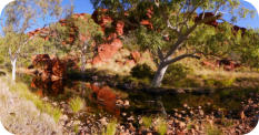 Killegurra Gorge