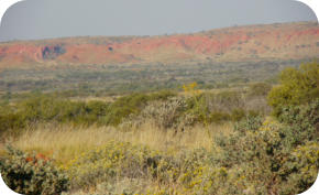 Harbutt Range