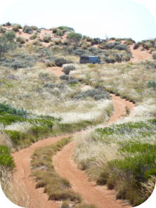 S Snake Sand Dune