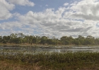 DSC 0097a Stitch