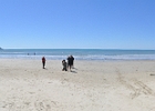 The Beach  Cape Tribulation