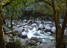 The River  Mossman Gorge
