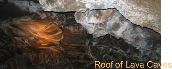 Roof of Lava Caves