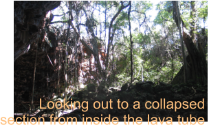 Looking out to a collapsed  section from inside the lava tube