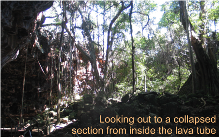 Looking out to a collapsed  section from inside the lava tube