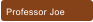 Professor Joe