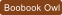 Boobook Owl