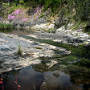 Deep Creek near Cape Jervis