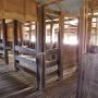 Kinchega Woolshed