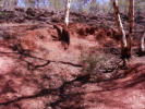 Ochre Pit