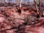 Ochre Pit