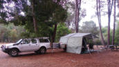 Camped in Shannon NP