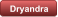 Dryandra