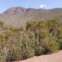 568 Stirling Ranges