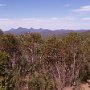 569 Stirling Ranges
